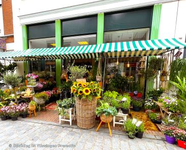 De Bloemenbeleving buiten
