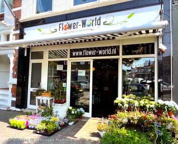 FlowerWorld26
