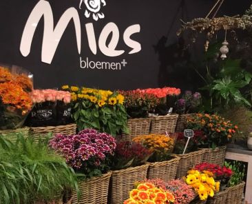 MiesBloemen1