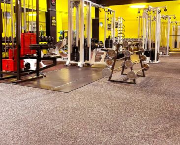 GorillaGym3