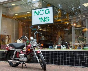 Nog-ns-4